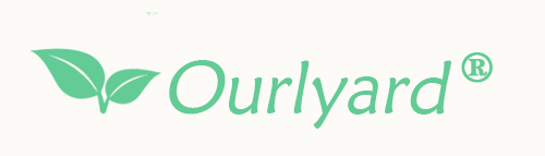qylina logo
